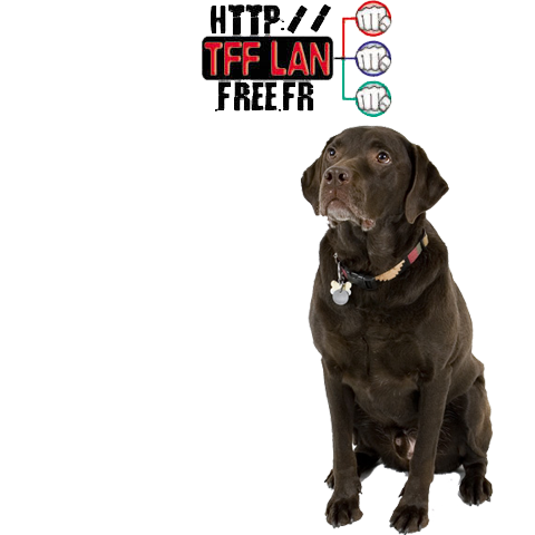 dog.png